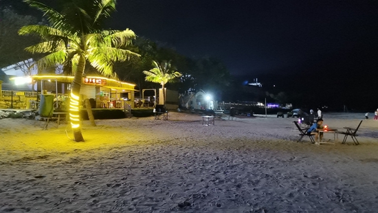 Beach Night Scene